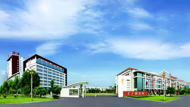 风云闽商 | 蔡伟生：莆田“才子”，拼出高质量发展新天地-4.jpg