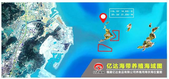 风云闽商 | 邱碧香：海洋经济潮头劲，一条海带链万家-15.jpg