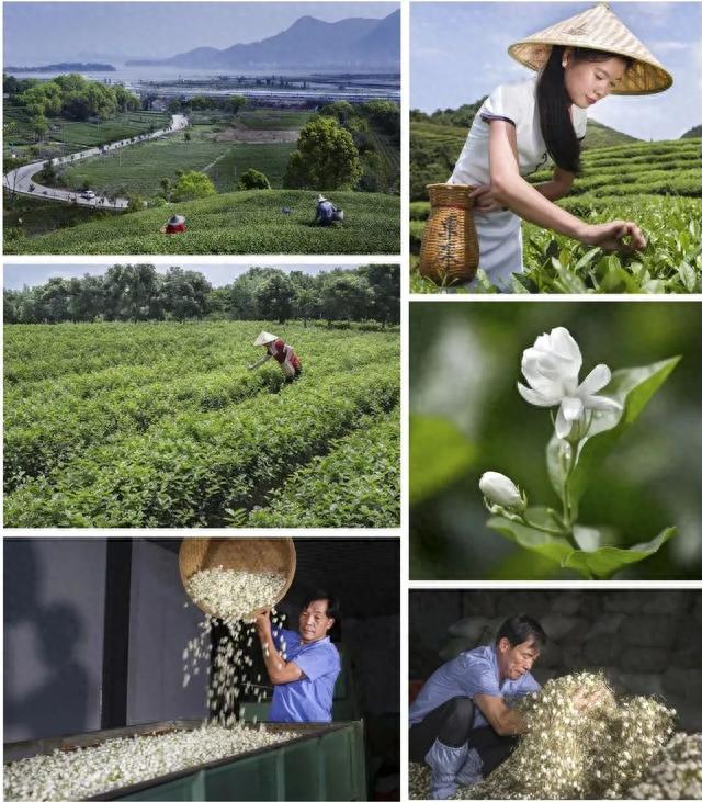 虎年说福 | 十大旅游路线告诉你，“福建，好有福气！”-12.jpg