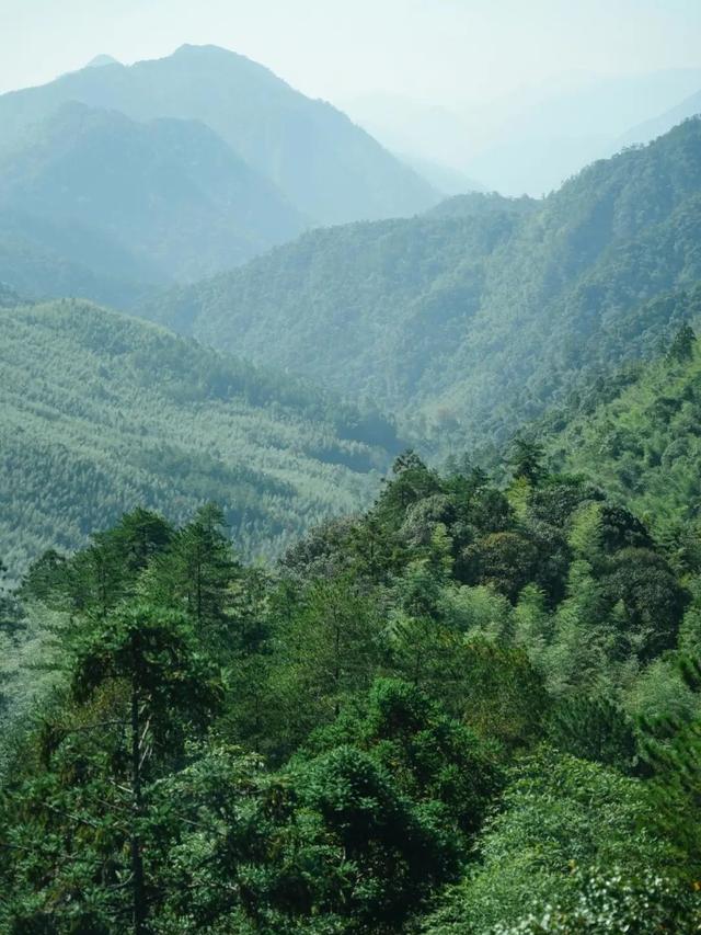南平 | 三天两夜旅游攻略！山间老城的慢生活~-14.jpg