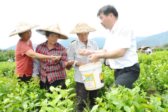 风云闽商 | 傅天龙：匠心铸品牌，让福州茉莉花茶香飘世界-8.jpg