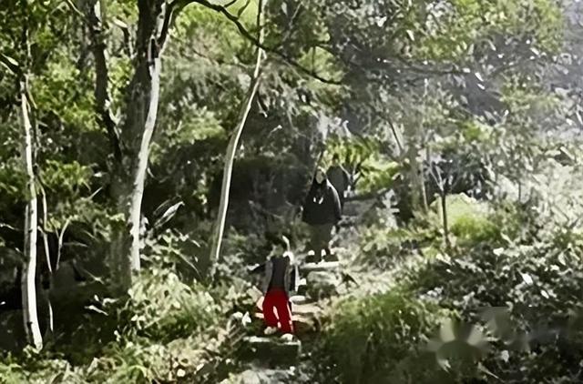 8 个年轻人在福建深山隐居，不愁钱还想生育儿女。-6.jpg