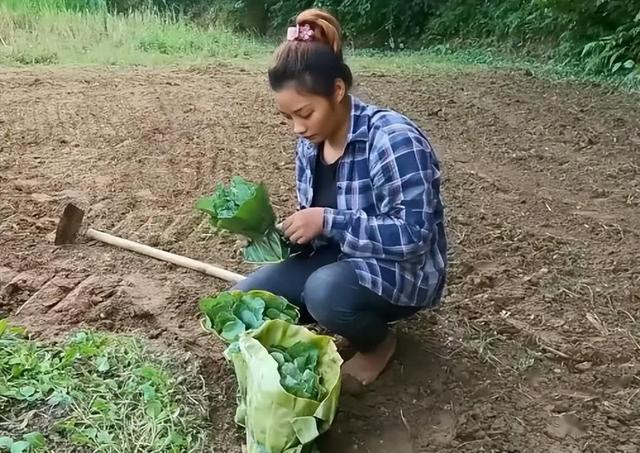 8 个年轻人在福建深山隐居，不愁钱还想生育儿女。-12.jpg