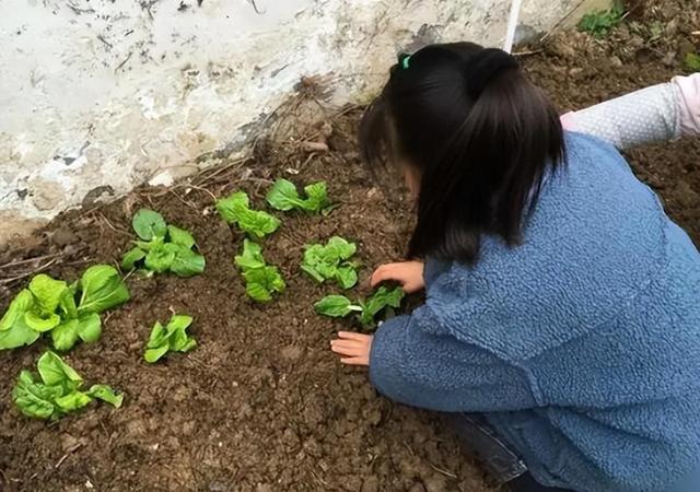 8 个年轻人在福建深山隐居，不愁钱还想生育儿女。-18.jpg